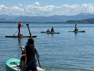 d50bdf21-f7c4-4d01-9f37-6e930916bd8e d50bdf21-f7c4-4d01-9f37-6e930916bd8e